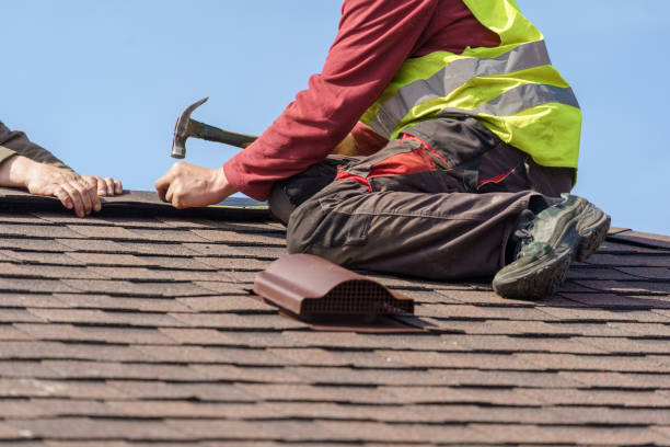 Best Roof Gutter Cleaning  in Chesapeake, WV