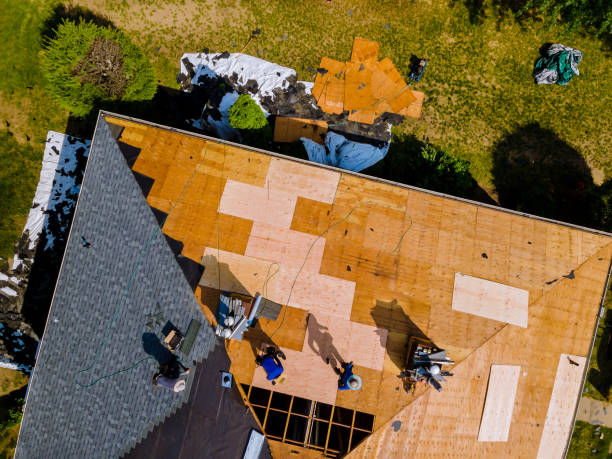 Best Roof Repair Services  in Chesapeake, WV