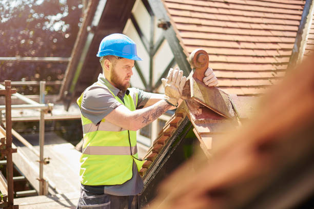 Best Roof Waterproofing Services  in Chesapeake, WV